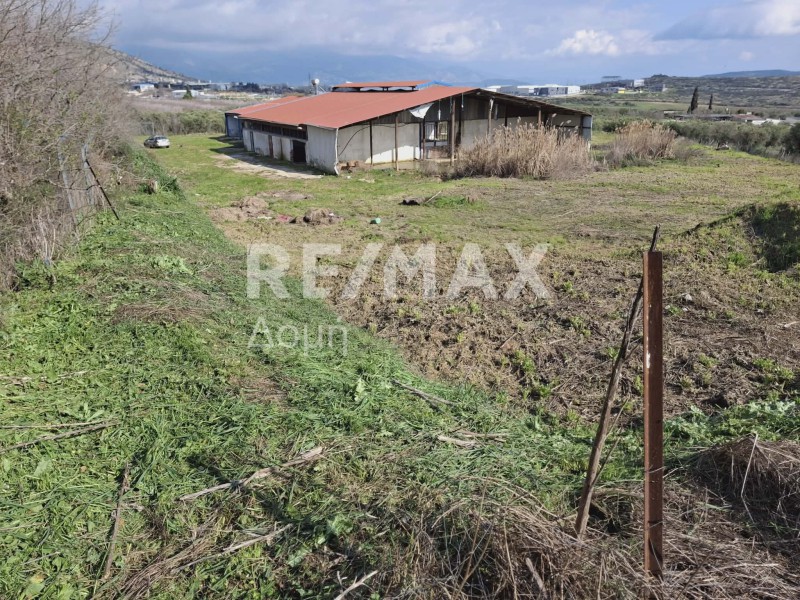 Επιχειρηματικό κτίριο 598 τ.μ. πρός πώληση, Μαγνησία, Αισωνία