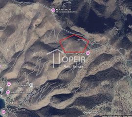 Οικόπεδο 100.000 τ.μ. για πώληση