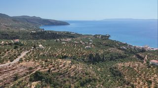 Αγροτεμάχια 5.840 τ.μ. για πώληση