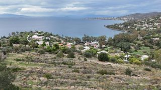 Αγροτεμάχια 5.969 τ.μ. για πώληση