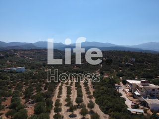 Οικόπεδο 1.914 τ.μ. για πώληση