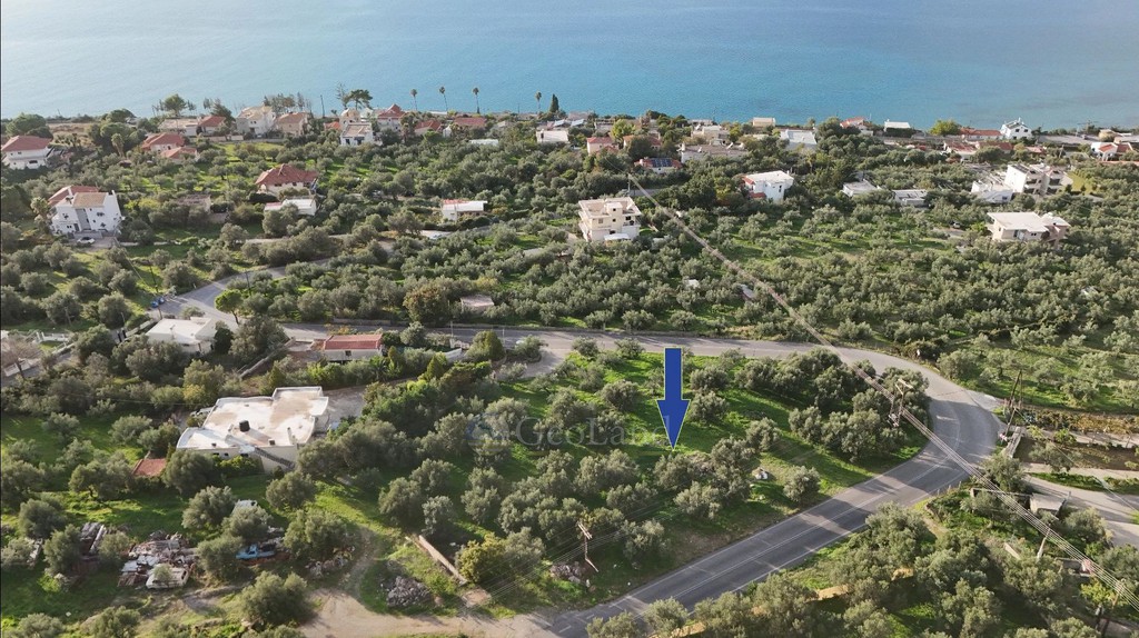 Οικόπεδο 4.261 τ.μ. προς πώληση, Μικρή Μαντίνεια