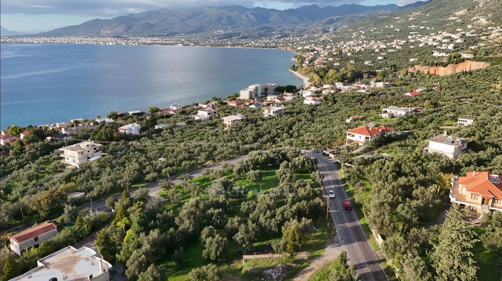 Οικόπεδο 4.261 τ.μ. προς πώληση, Μικρή Μαντίνεια