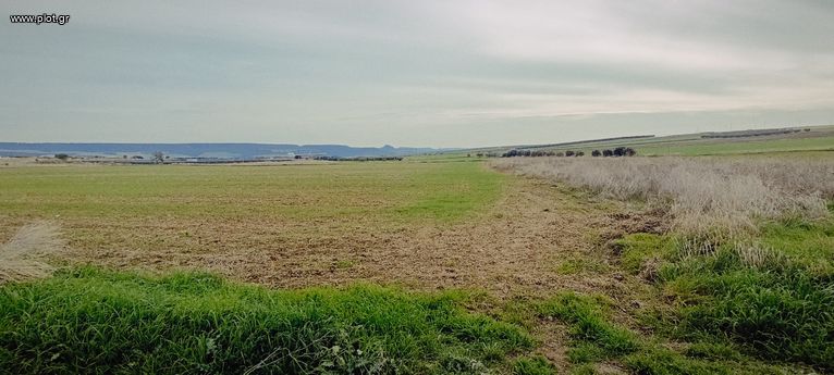 Parcel 18.900 sqm for sale, Chalkidiki, Kallikrateia