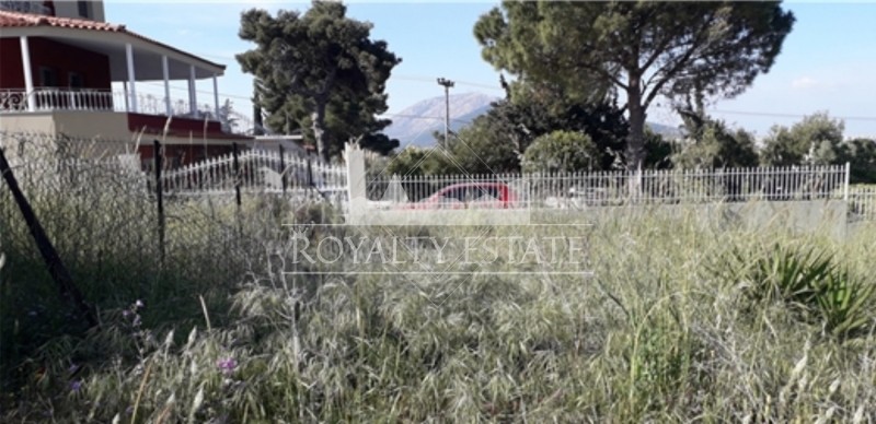 Αγροτεμάχια 292 τ.μ. πρός πώληση, Αθήνα - Ανατολικά Προάστια, Γέρακας