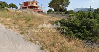 Αγροτεμάχια 292 τ.μ. για πώληση