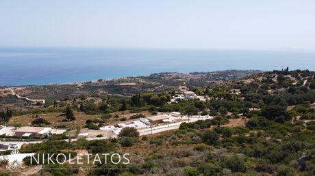 Αγροτεμάχια 7.290 τ.μ. για πώληση