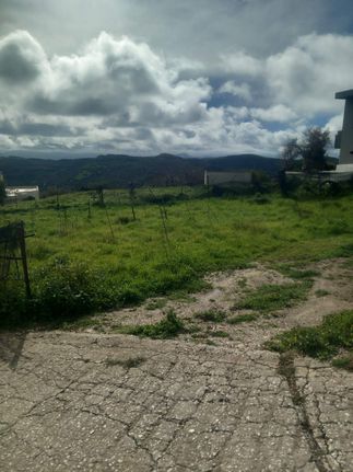 Οικόπεδο 316 τ.μ. για πώληση, Ν. Ηρακλείου, Ρουβάς