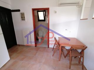 Studio / γκαρσονιέρα 32 τ.μ. για ενοικίαση, Ν. Ιωαννίνων, Ανατολή-thumb-1