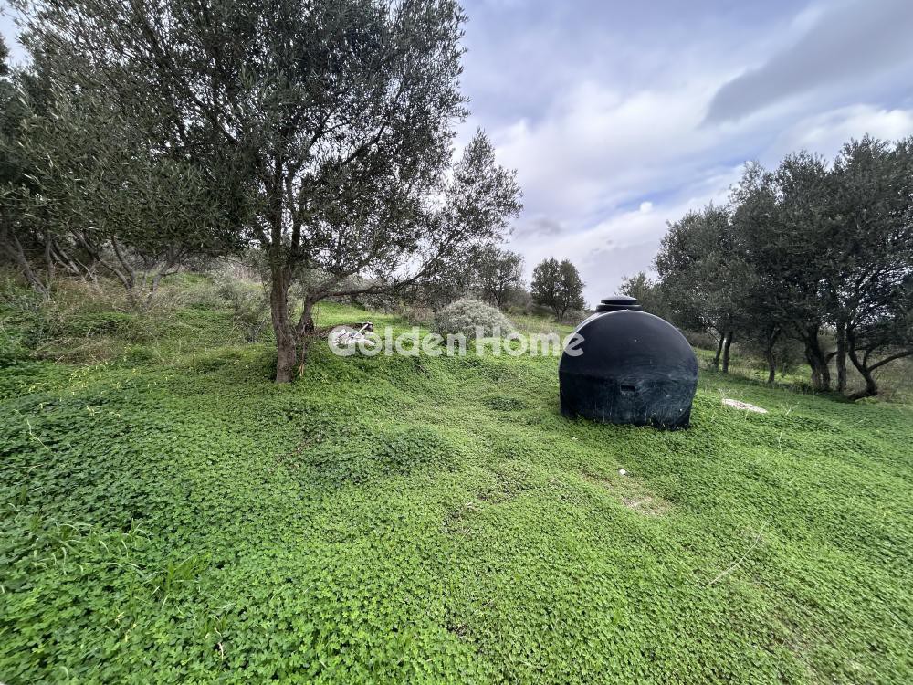 Αγροτεμάχια 491 τ.μ. προς πώληση, Αθάνατοι