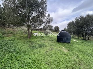 Αγροτεμάχια 491 τ.μ. για πώληση