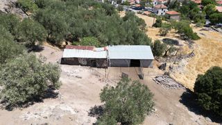 Αγροτεμάχια 8.710 τ.μ. για πώληση