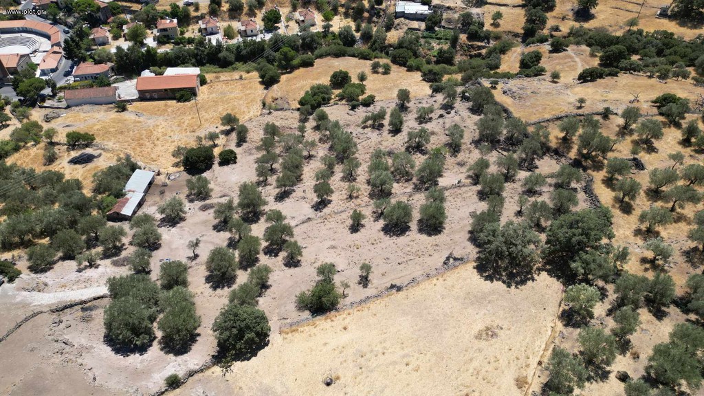 Αγροτεμάχια 8.710 τ.μ. πρός πώληση, Ν. Λέσβου, Λέσβος - Μανταμάδος