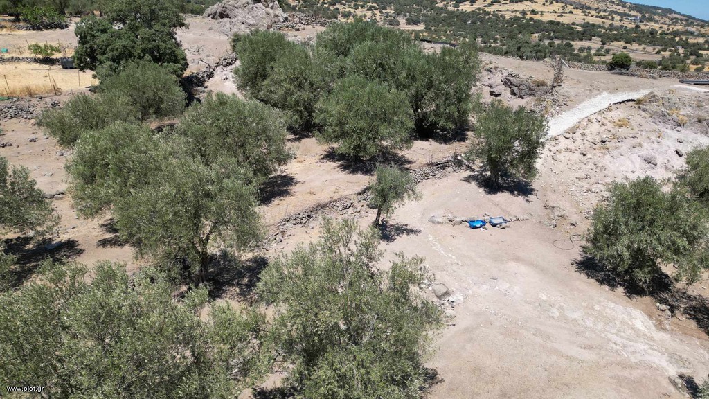 Αγροτεμάχια 8.710 τ.μ. πρός πώληση, Ν. Λέσβου, Λέσβος - Μανταμάδος