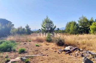 Οικόπεδο 10.000 τ.μ. για πώληση
