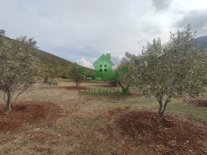 Οικόπεδο 4.140 τ.μ. προς πώληση, Νεοχώρι Αυλώνας
