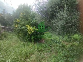 Οικόπεδο 667 τ.μ. για πώληση, Αχαΐα, Αίγιο-thumb-1