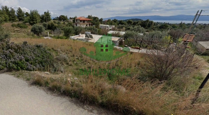 Αγροτεμάχια 336 τ.μ. προς πώληση, Κέντρο Ερέτριας