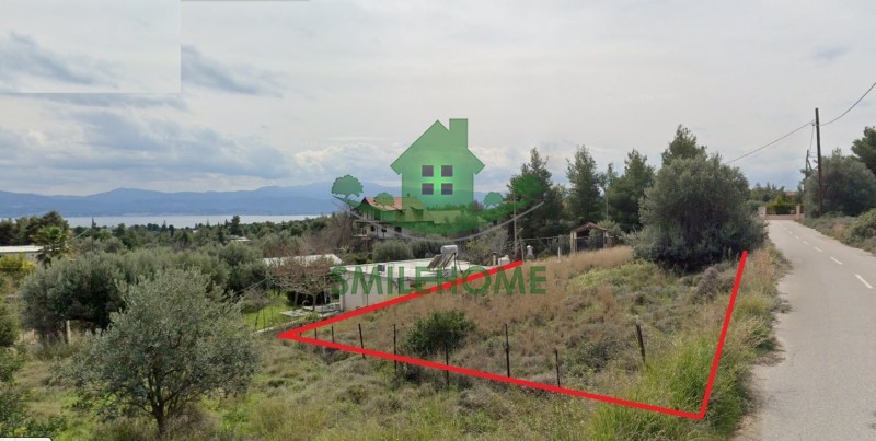 Αγροτεμάχια 336 τ.μ. προς πώληση, Κέντρο Ερέτριας