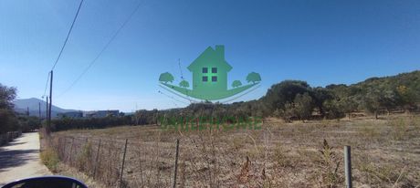 Οικόπεδο 5.185 τ.μ. πρός πώληση
