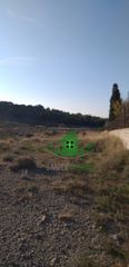 Αγροτεμάχια 9.800 τ.μ. για πώληση