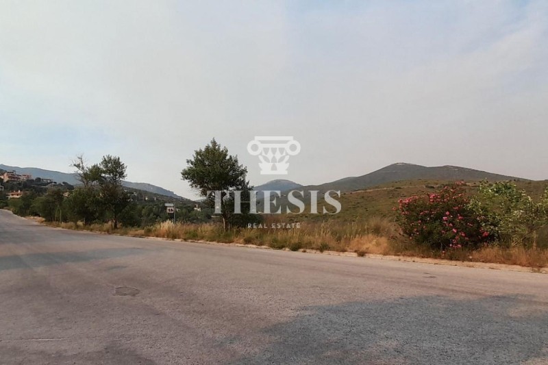 Οικόπεδο 1.500 τ.μ. προς πώληση, Αττική - Υπόλοιπο, Πικέρμι