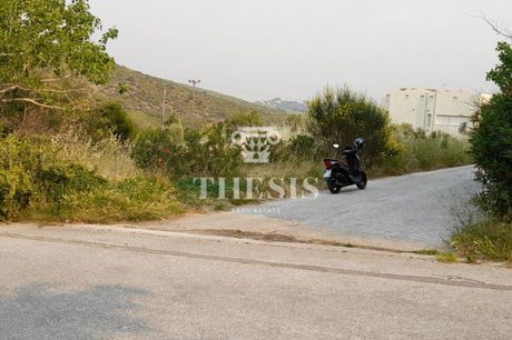 Land plot 1.500 sqm for sale