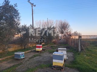 Οικόπεδο 5.300 τ.μ. για ενοικίαση, Ν. Ροδόπης, Κομοτηνή-thumb-6