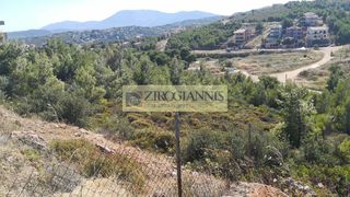 Οικόπεδο 1.000 τ.μ. για πώληση