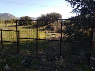 Αγροτεμάχια 6.700 τ.μ. για πώληση