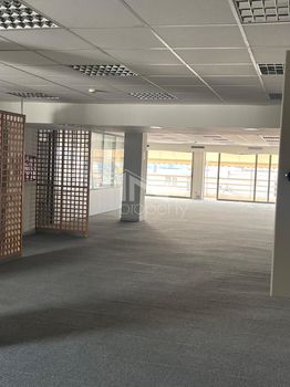 Office 540 sqm for rent