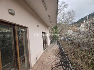 Κατάστημα 294 τ.μ. για πώληση, Εύβοια, Δίρφυς-thumb-3