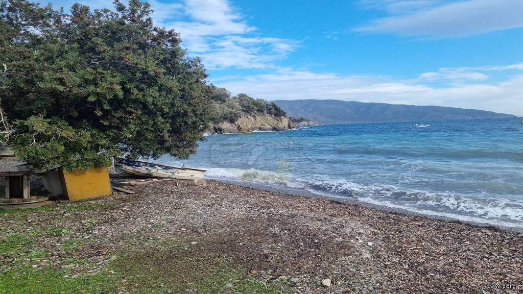 Αγροτεμάχια 22.500 τ.μ. πρός πώληση, Φθιώτιδας, Μαλεσίνα