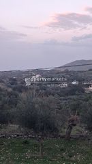 Οικόπεδο 964 τ.μ. για πώληση, Ν. Ρεθύμνου, Λάππα-thumb-3