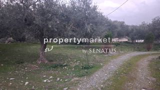 Οικόπεδο 964 τ.μ. για πώληση, Ν. Ρεθύμνου, Λάππα-thumb-4