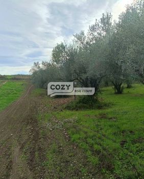 Land plot 5.000 sqm for sale