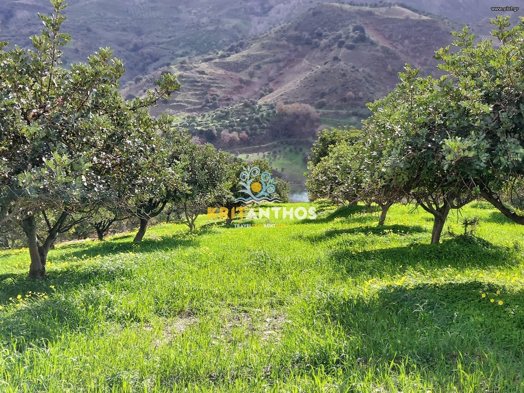 Οικόπεδο 43.365 τ.μ. για ενοικίαση, Ν. Ρεθύμνου, Σίβριτος