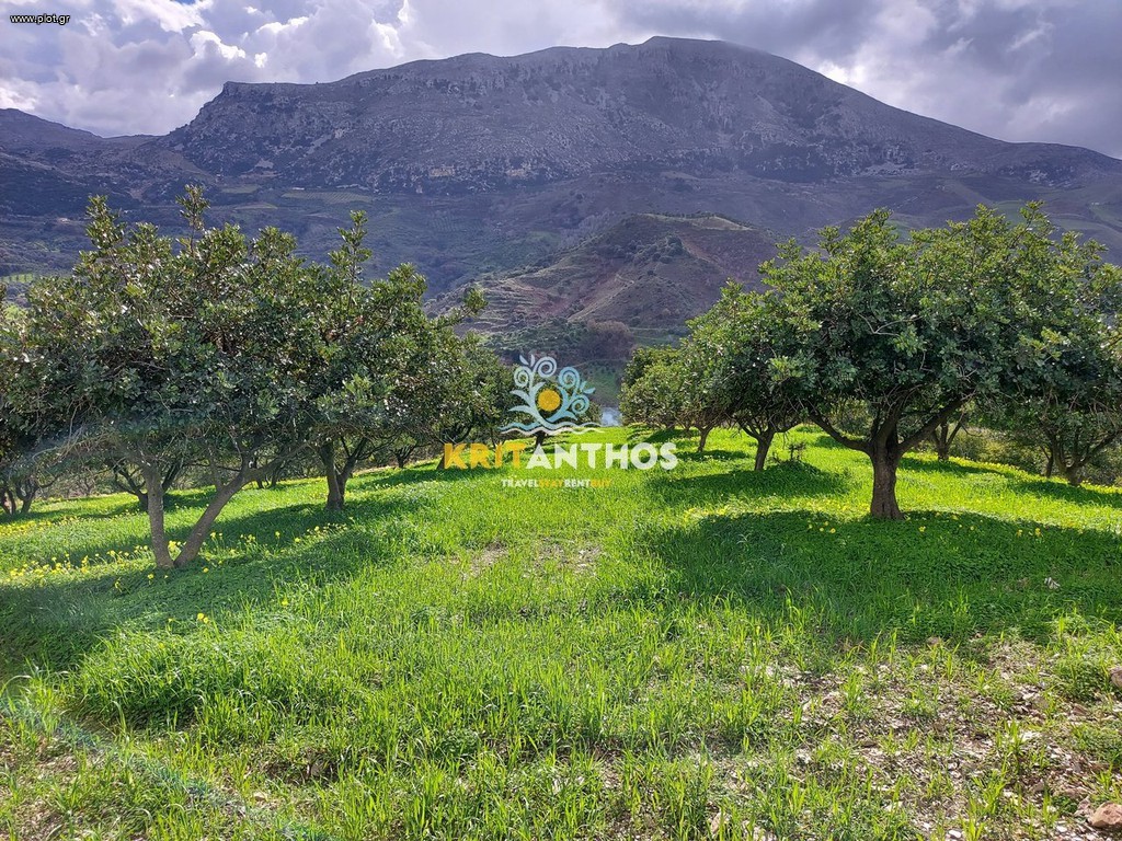 Land plot 43.365 sqm for rent, Patsos