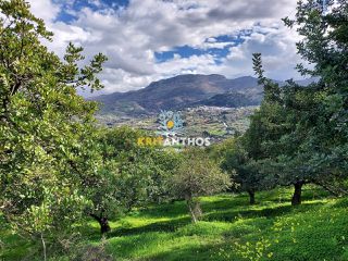 Οικόπεδο 43.365 τ.μ. για ενοικίαση, Ν. Ρεθύμνου, Σίβριτος-thumb-2