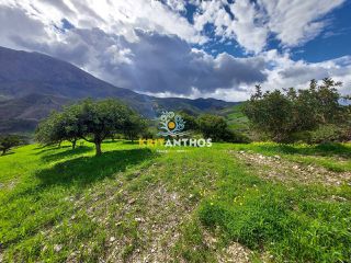 Οικόπεδο 43.365 τ.μ. για ενοικίαση, Ν. Ρεθύμνου, Σίβριτος-thumb-7