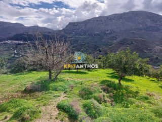 Οικόπεδο 43.365 τ.μ. για ενοικίαση, Ν. Ρεθύμνου, Σίβριτος-thumb-9