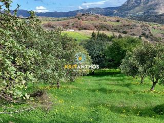 Οικόπεδο 43.365 τ.μ. για ενοικίαση, Ν. Ρεθύμνου, Σίβριτος-thumb-10