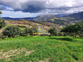 Οικόπεδο 43.365 τ.μ. για ενοικίαση, Ν. Ρεθύμνου, Σίβριτος-thumb-14