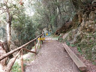 Οικόπεδο 43.365 τ.μ. για ενοικίαση, Ν. Ρεθύμνου, Σίβριτος-thumb-25