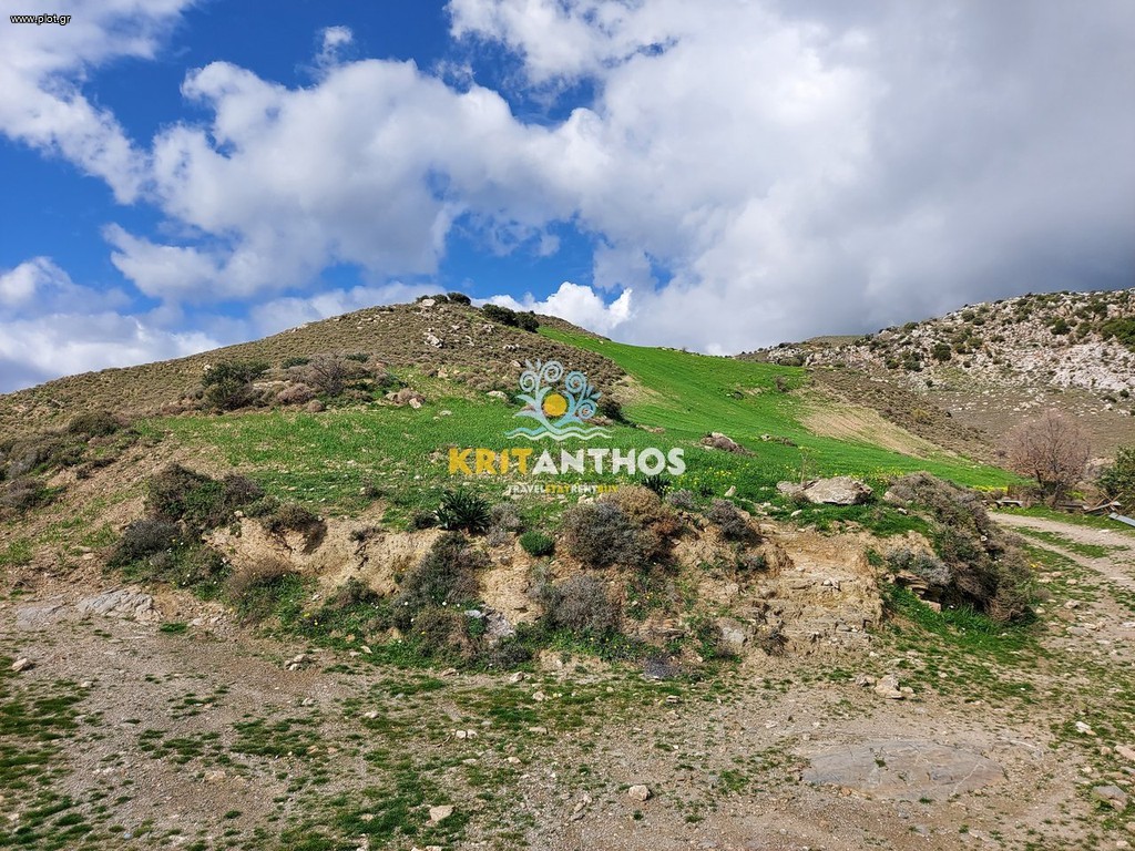 Land plot 51.000 sqm for rent, Patsos