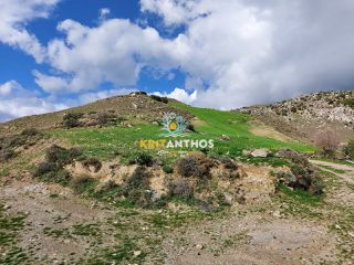 Οικόπεδο 51.000 τ.μ. για ενοικίαση, Ν. Ρεθύμνου, Σίβριτος-thumb-1