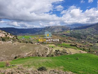 Οικόπεδο 51.000 τ.μ. για ενοικίαση, Ν. Ρεθύμνου, Σίβριτος-thumb-2