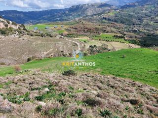 Οικόπεδο 51.000 τ.μ. για ενοικίαση, Ν. Ρεθύμνου, Σίβριτος-thumb-3