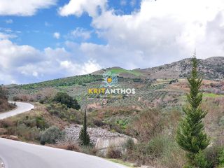Οικόπεδο 51.000 τ.μ. για ενοικίαση, Ν. Ρεθύμνου, Σίβριτος-thumb-7
