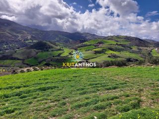 Οικόπεδο 51.000 τ.μ. για ενοικίαση, Ν. Ρεθύμνου, Σίβριτος-thumb-10